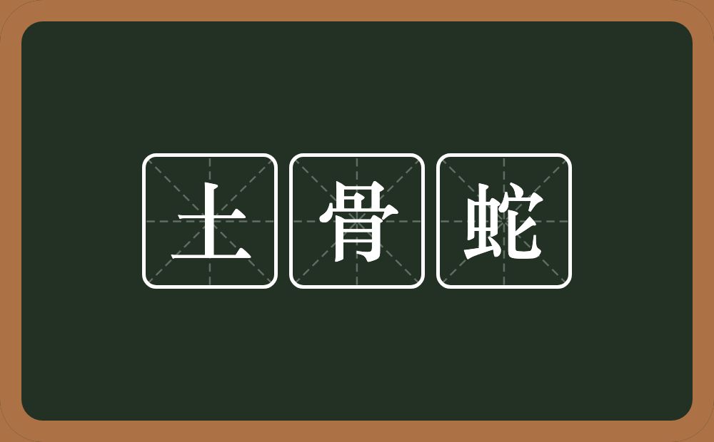 土骨蛇是什么意思?土骨蛇的意思为[tǔ gǔ shé-见"土虺蛇.