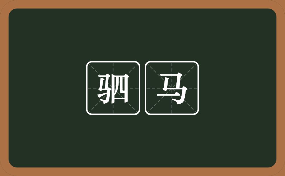 驷马是什么意思?