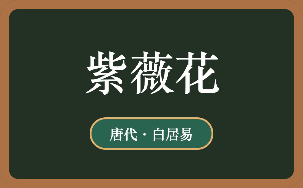紫薇花