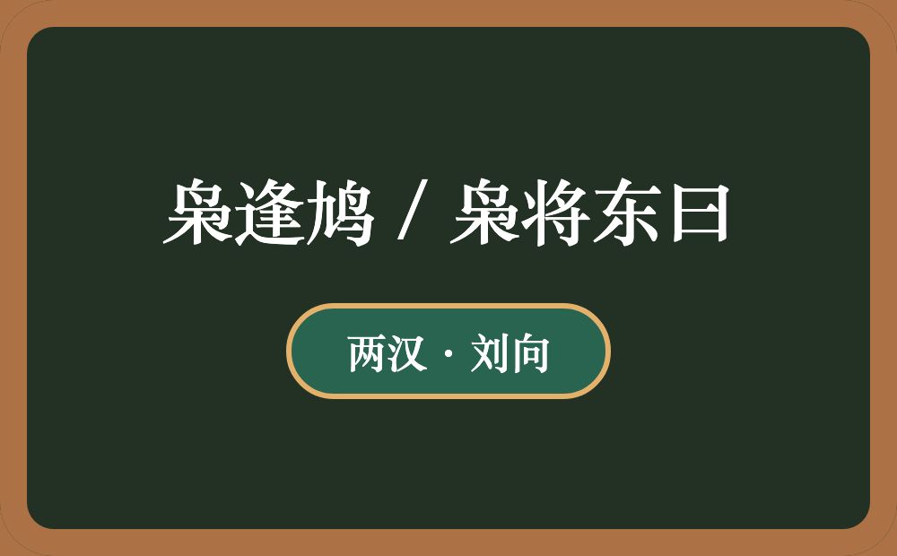 枭逢鸠 / 枭将东曰