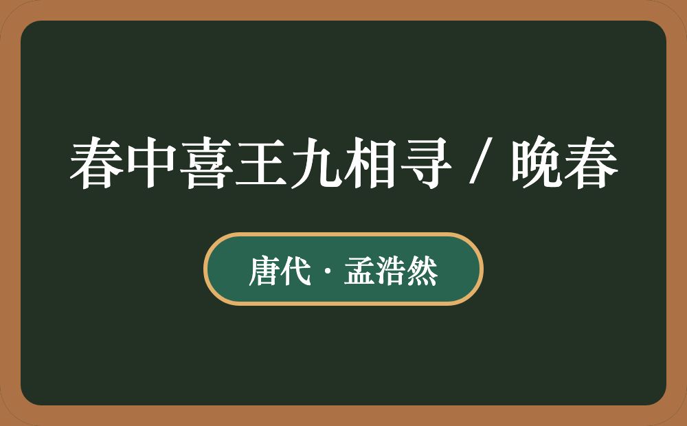 春中喜王九相寻 / 晚春
