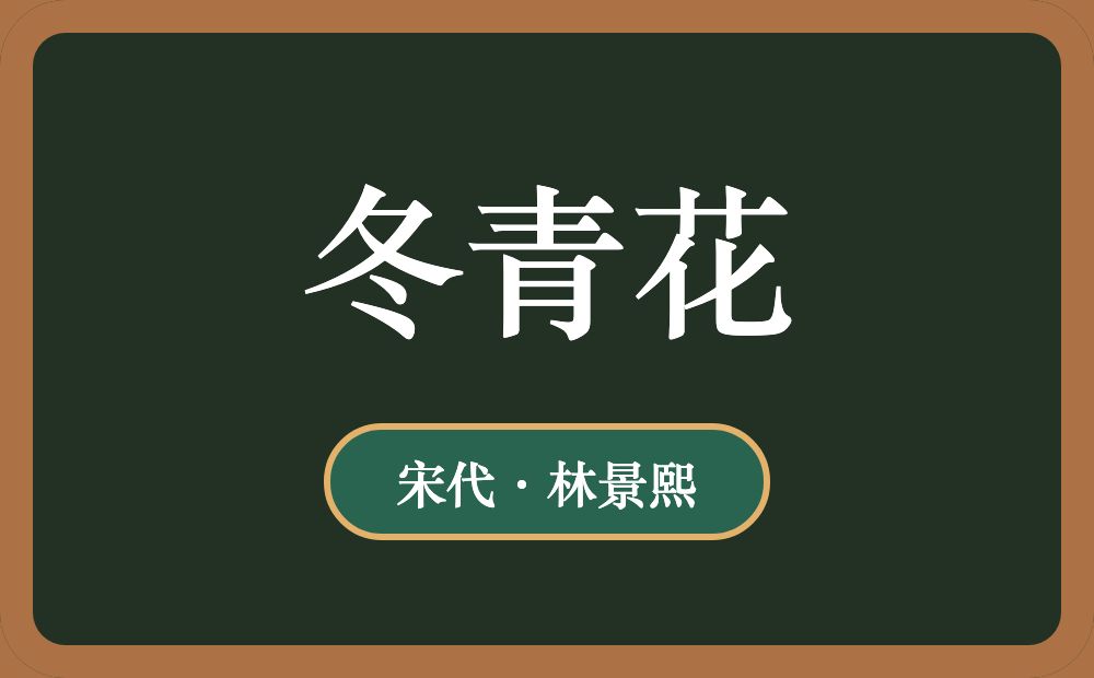 冬青花