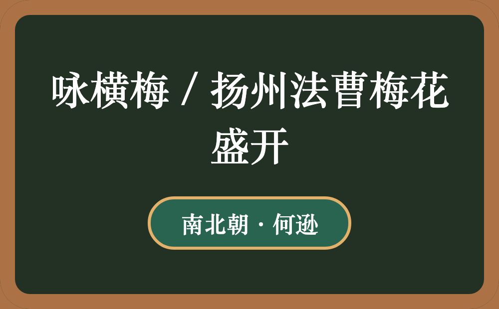 咏横梅 / 扬州法曹梅花盛开