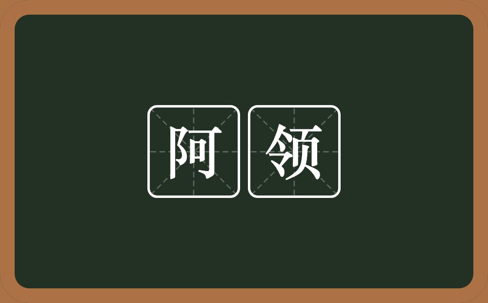 阿领的意思？阿领是什么意思？