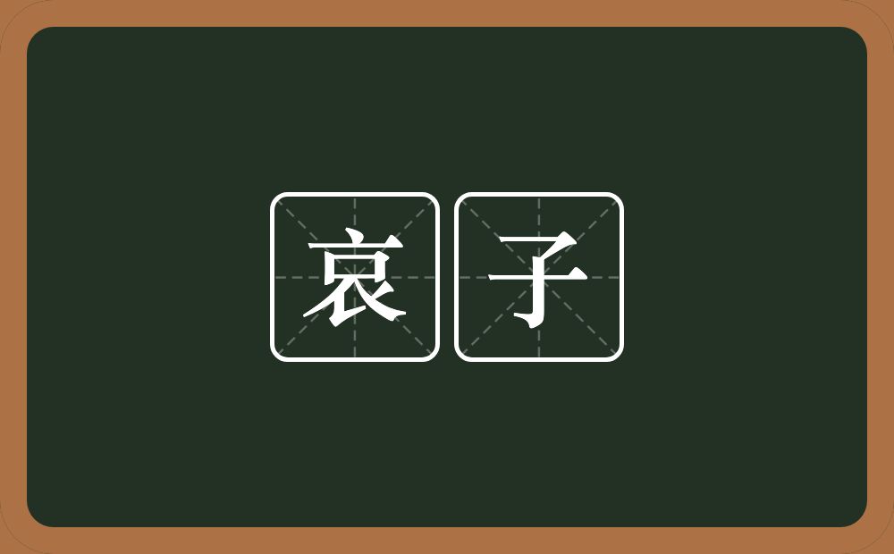 哀子的近义词/反义词