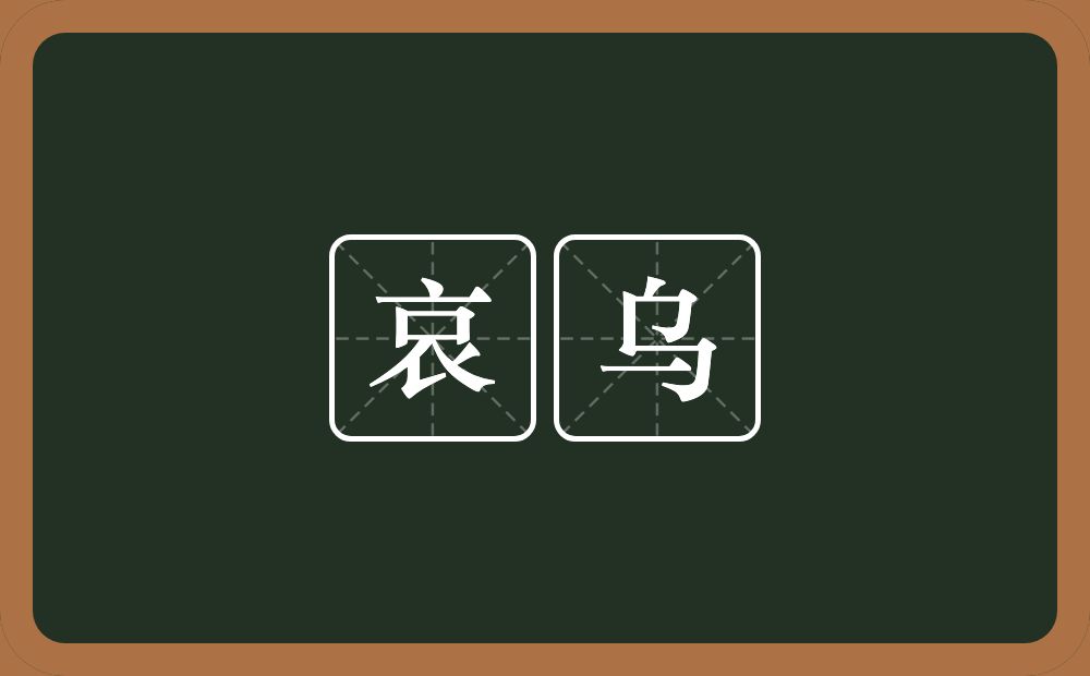 哀乌的近义词/反义词