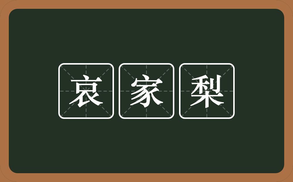 哀家梨的意思？哀家梨是什么意思？
