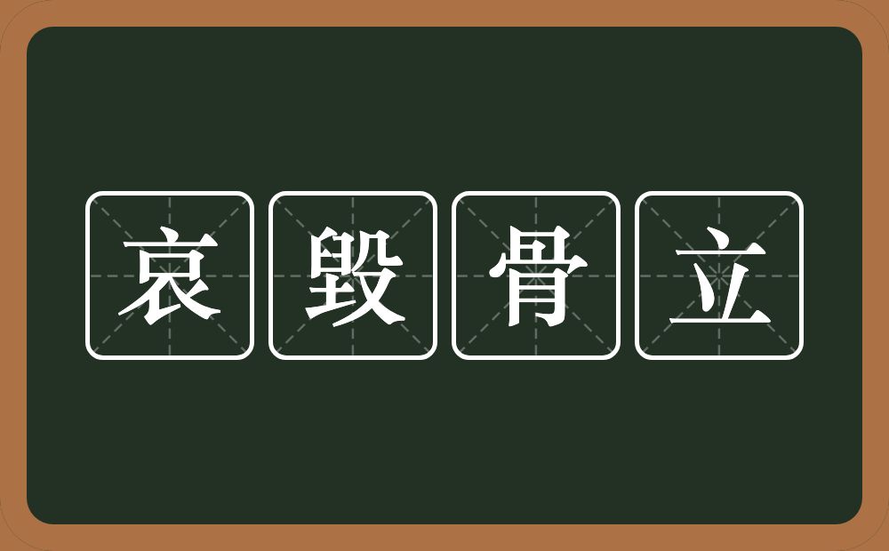 哀毀骨立的近义词/反义词
