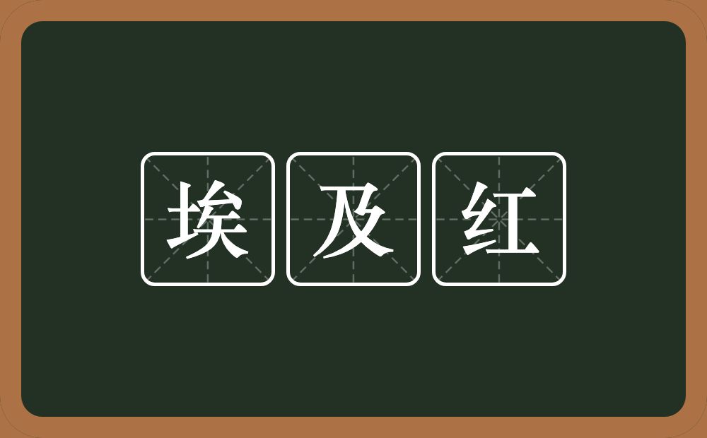 埃及红的近义词/反义词