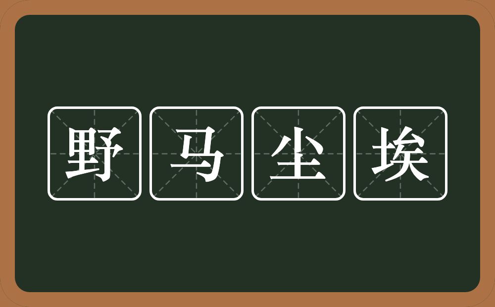 野马尘埃的意思？野马尘埃是什么意思？