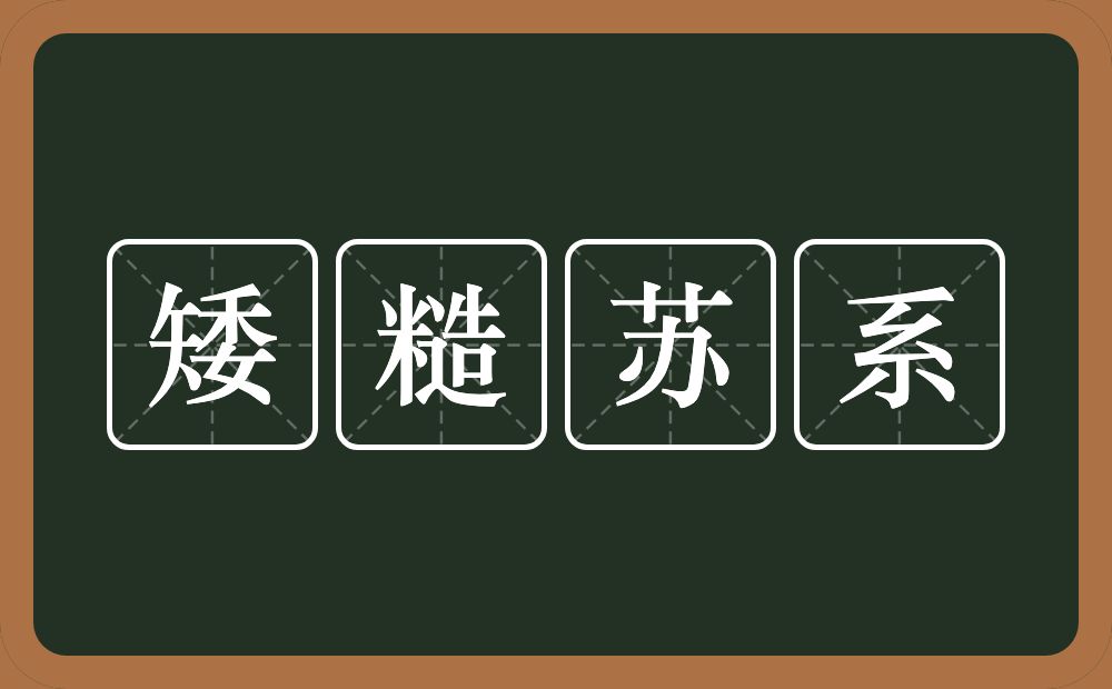 矮糙苏系的意思？矮糙苏系是什么意思？