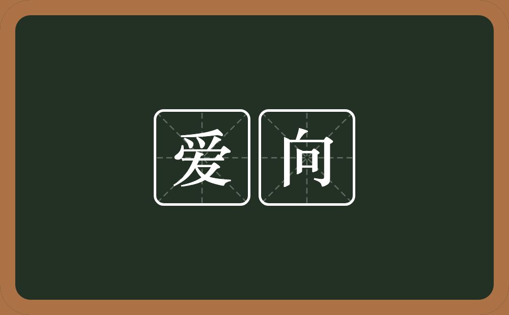爱向的意思？爱向是什么意思？