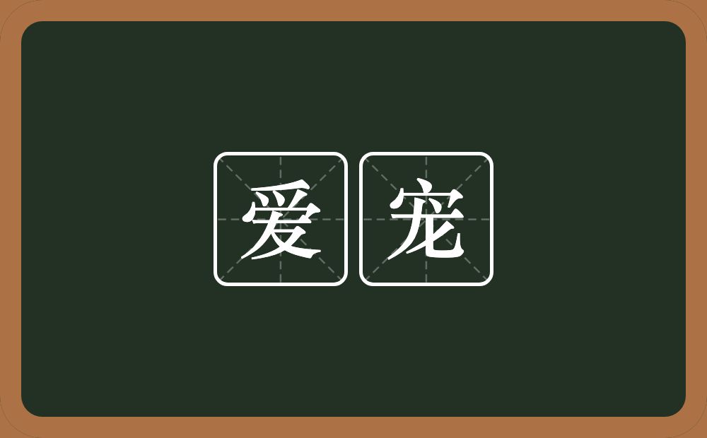 爱宠的近义词/反义词