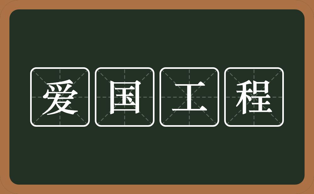 爱国工程的近义词/反义词