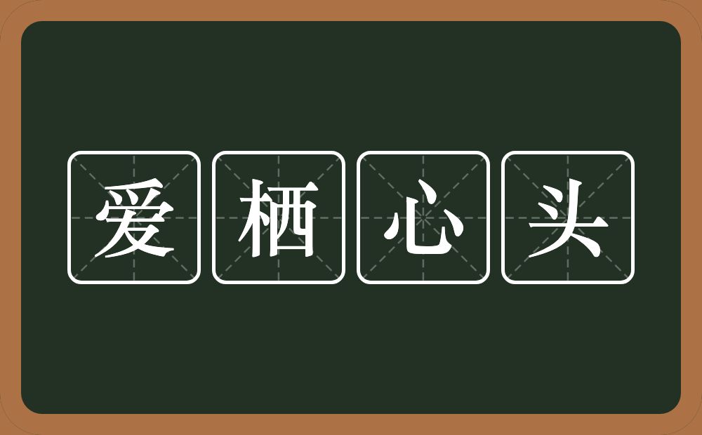 爱栖心头的近义词/反义词