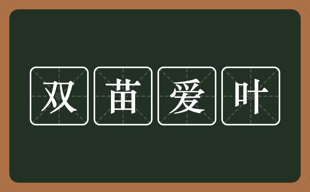 双苗爱叶的近义词/反义词