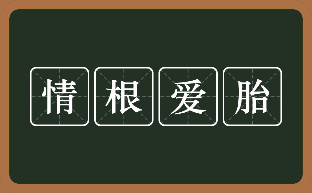 情根爱胎的意思？情根爱胎是什么意思？