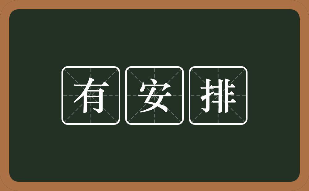 有安排的意思？有安排是什么意思？