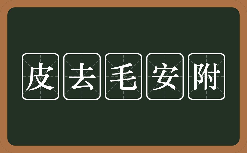皮去毛安附的意思？皮去毛安附是什么意思？