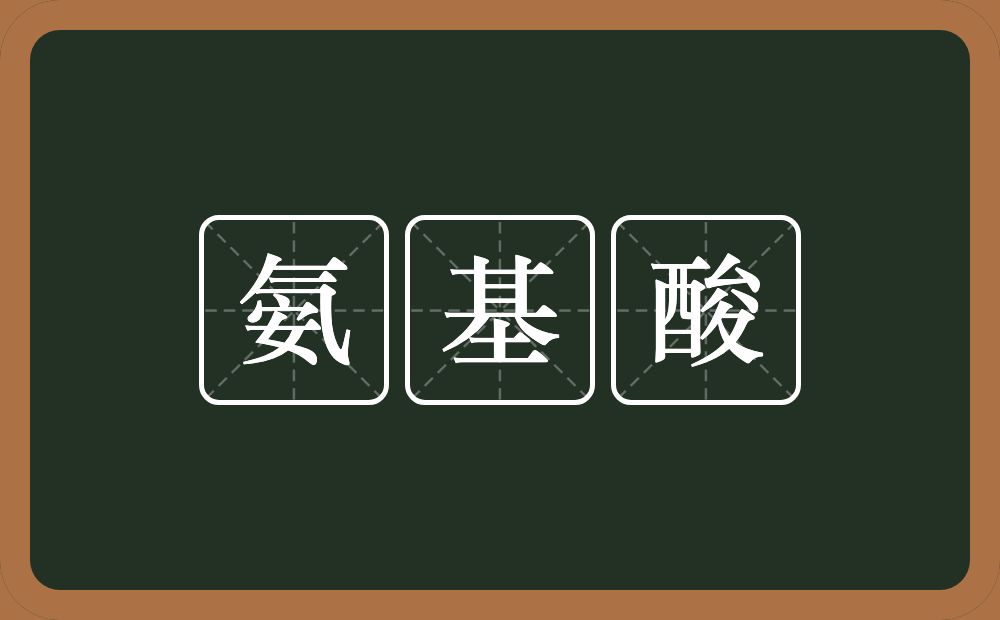 氨基酸的意思？氨基酸是什么意思？