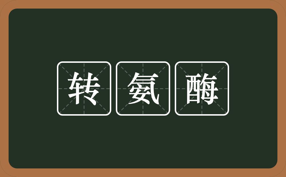 转氨酶的意思？转氨酶是什么意思？