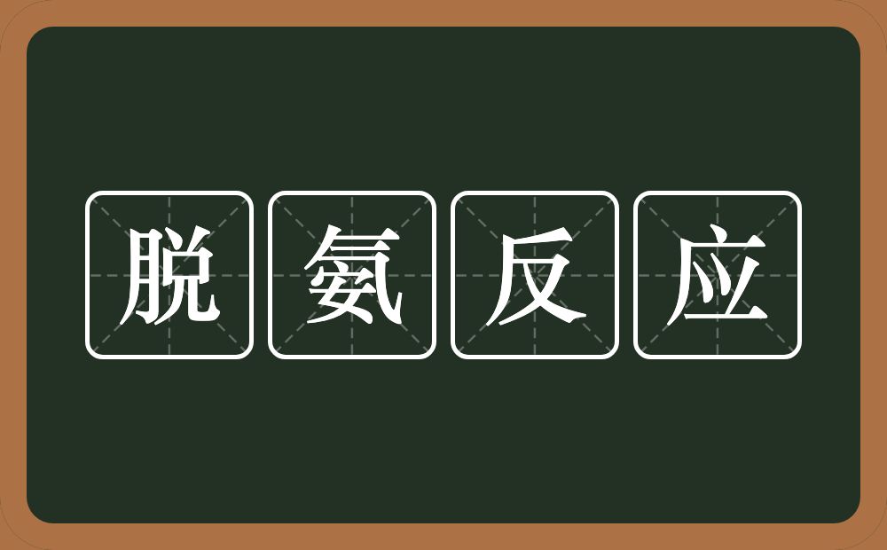 脱氨反应的意思？脱氨反应是什么意思？