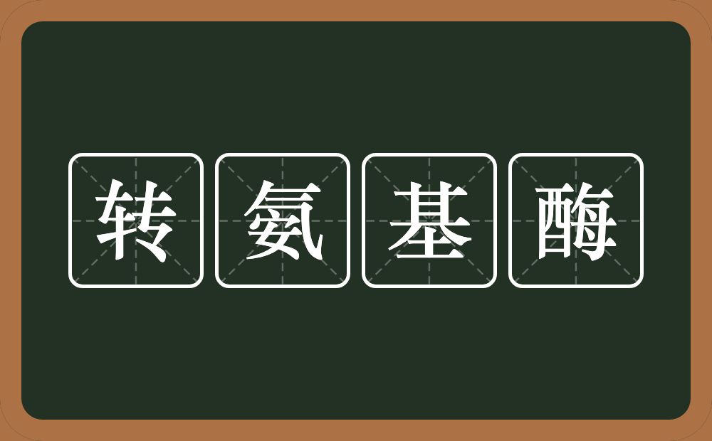 转氨基酶的近义词/反义词