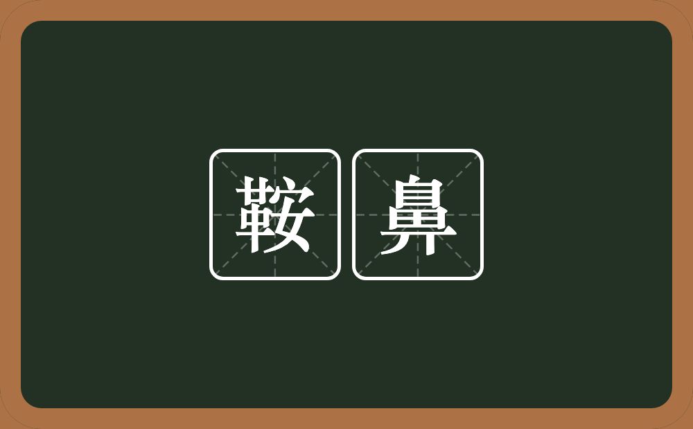 鞍鼻的意思？鞍鼻是什么意思？