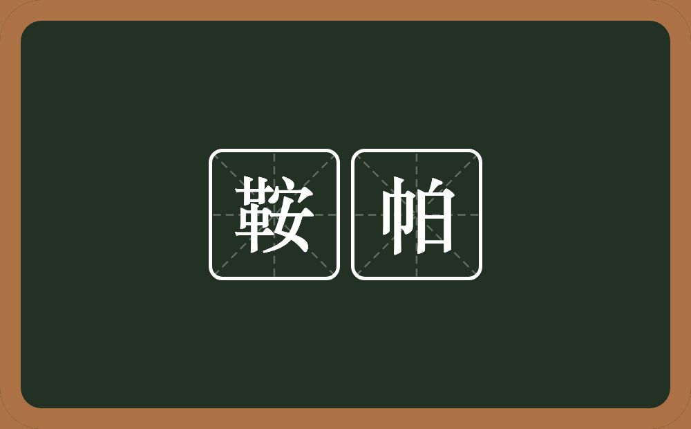 鞍帕的意思？鞍帕是什么意思？
