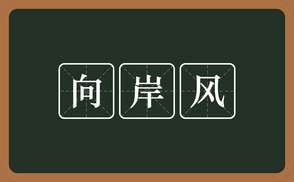 向岸风的意思？向岸风是什么意思？