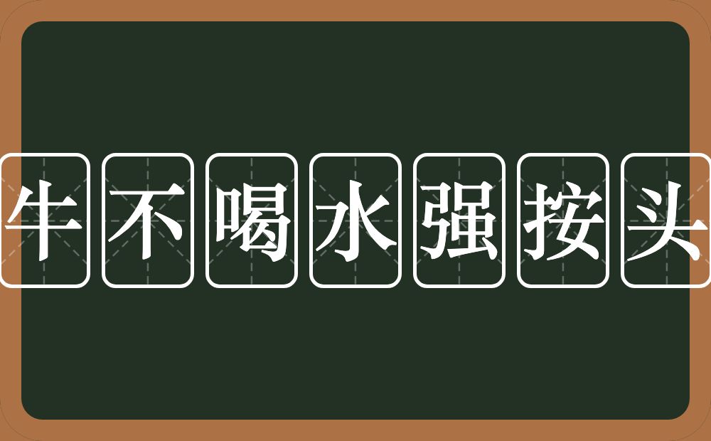 牛不喝水强按头的意思？牛不喝水强按头是什么意思？