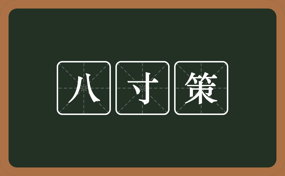 八寸策的意思？八寸策是什么意思？