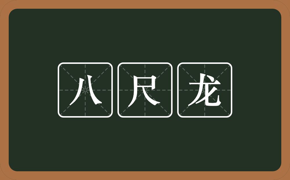 八尺龙的意思？八尺龙是什么意思？
