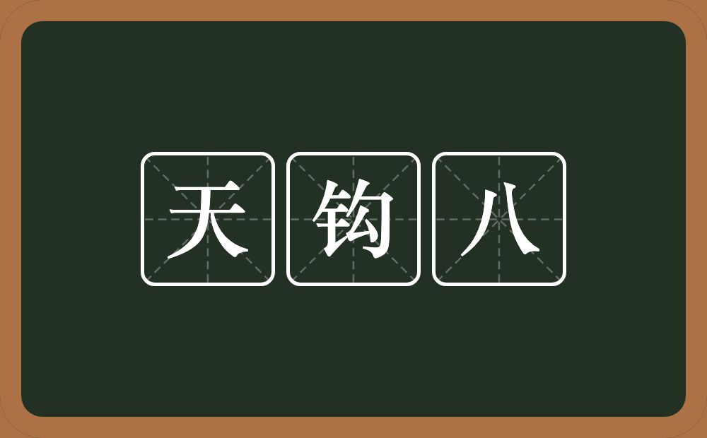 天钩八的意思？天钩八是什么意思？