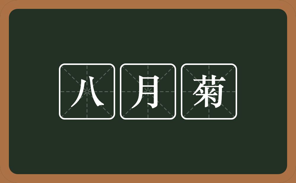 八月菊的近义词/反义词