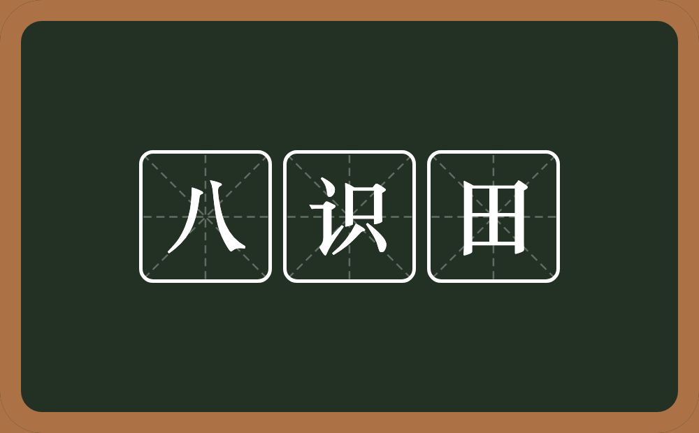 八识田的近义词/反义词