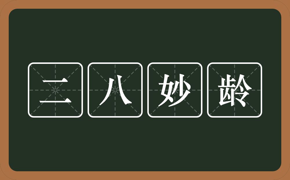 二八妙龄的近义词/反义词