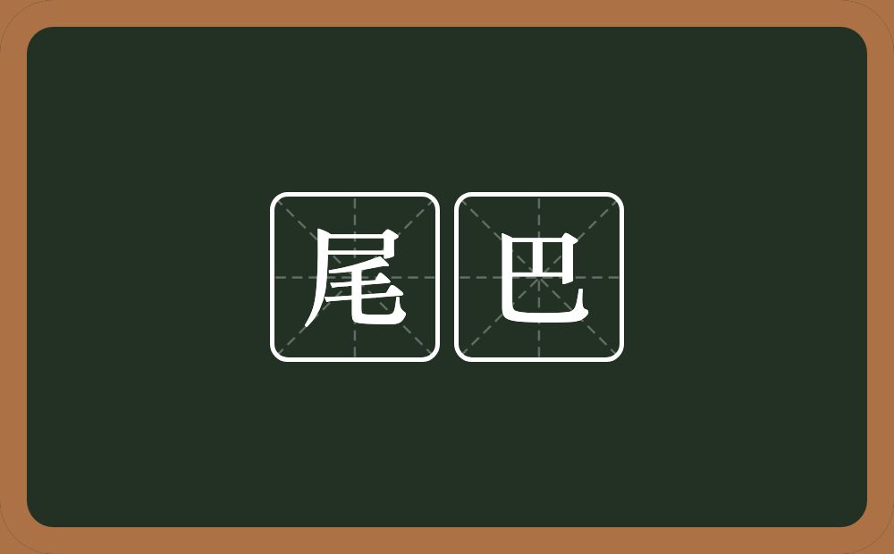 尾巴的近义词/反义词