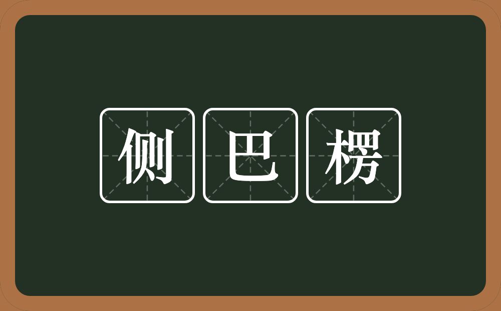 侧巴楞的近义词/反义词