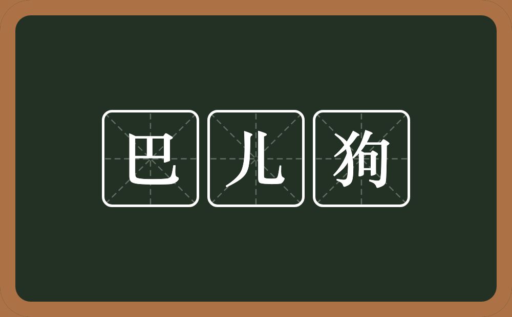 巴儿狗的近义词/反义词