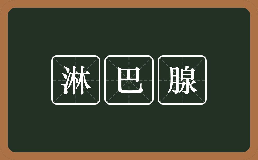淋巴腺的意思？淋巴腺是什么意思？