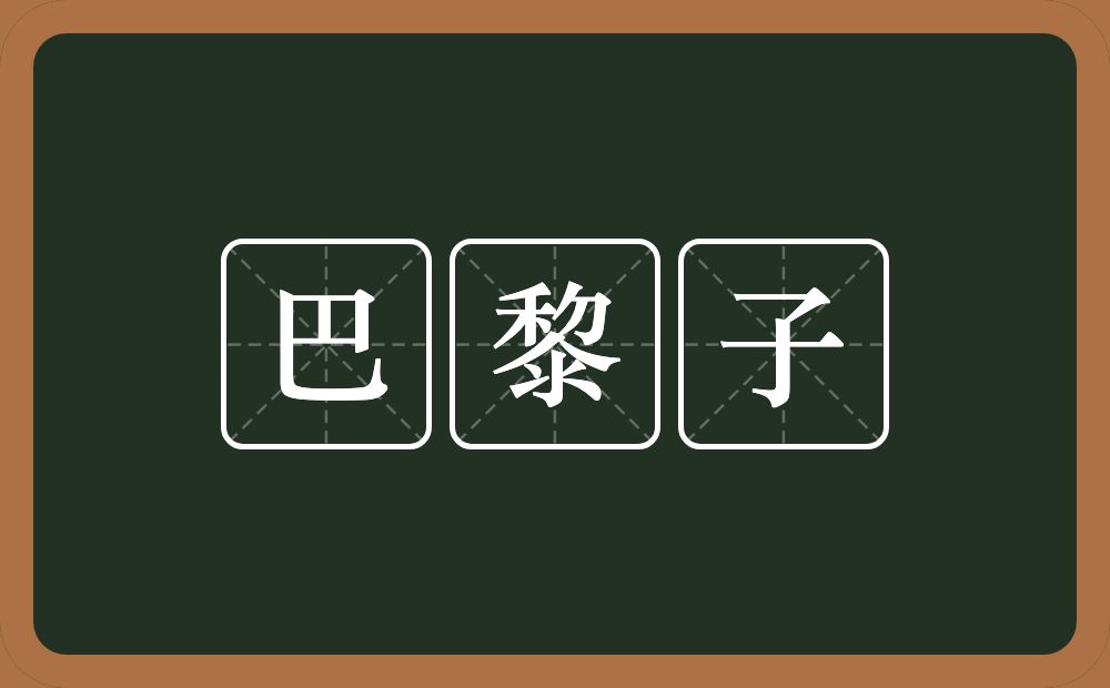 巴黎子的意思？巴黎子是什么意思？