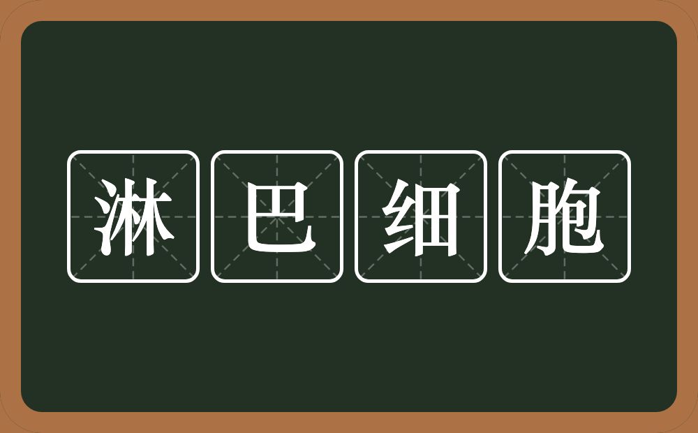 淋巴细胞的近义词/反义词