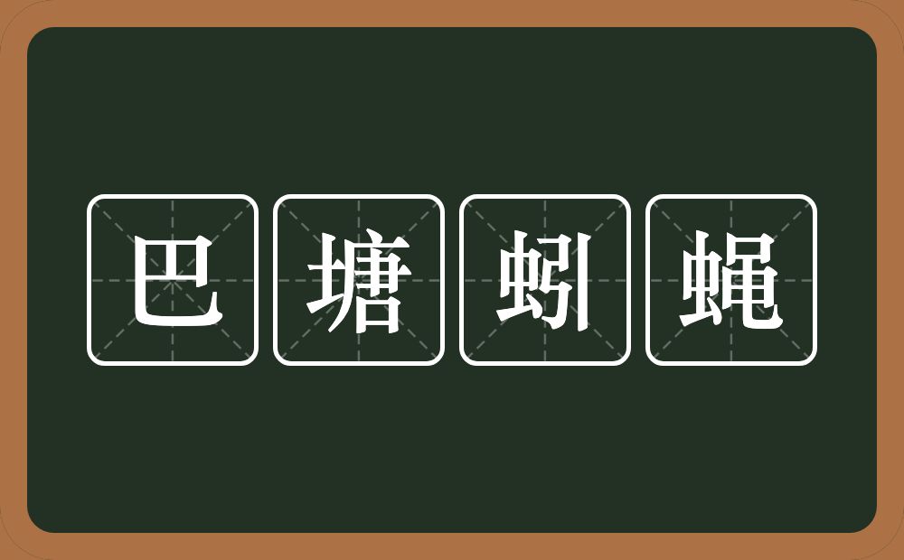 巴塘蚓蝇的近义词/反义词