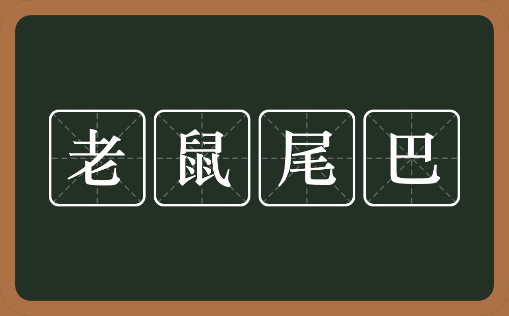 老鼠尾巴的意思？老鼠尾巴是什么意思？