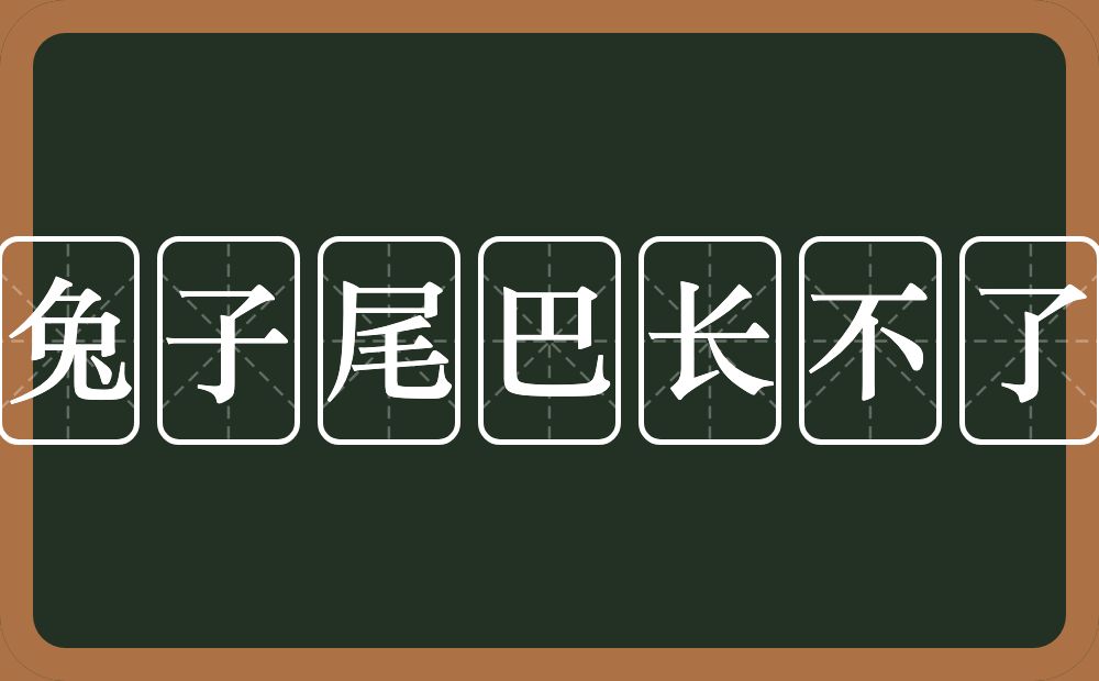 兔子尾巴长不了的近义词/反义词