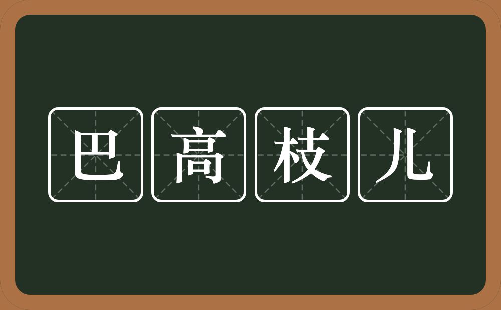 巴高枝儿的意思？巴高枝儿是什么意思？