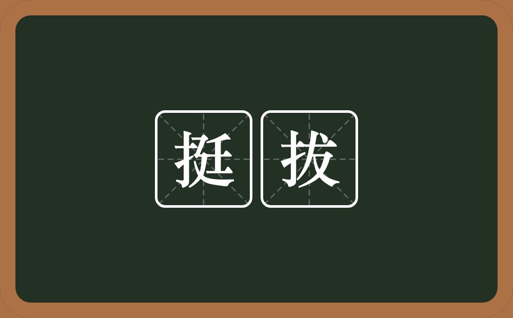 挺拔的意思?挺拔是什么意思?