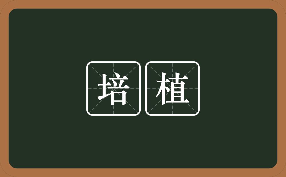 培植的意思?培植是什么意思?