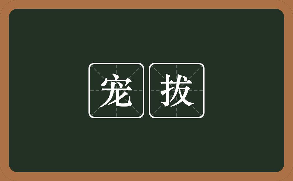 宠拔的意思？宠拔是什么意思？